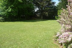 Coedrath Park picture 3