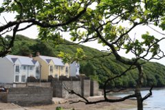 Picture of Heron, Nr Pembroke