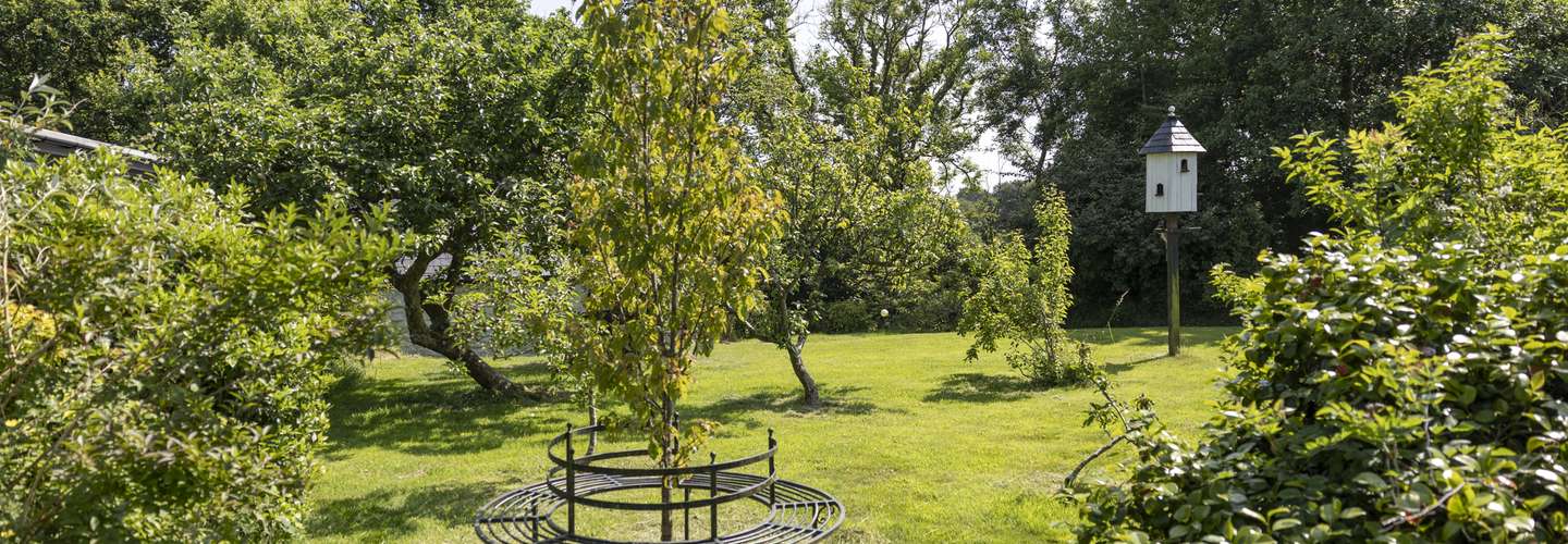Willow at Gorslwyd - Sound Retreat, peaceful location