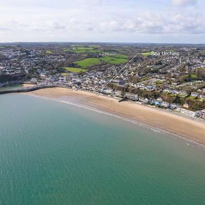 Sea Urchins Apartment - Sea front apartment with views pet friendly