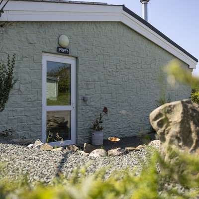 Poppy at Gorslwyd Retreat - Sound Retreat, peaceful location