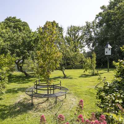 Willow at Gorslwyd - Sound Retreat, peaceful location