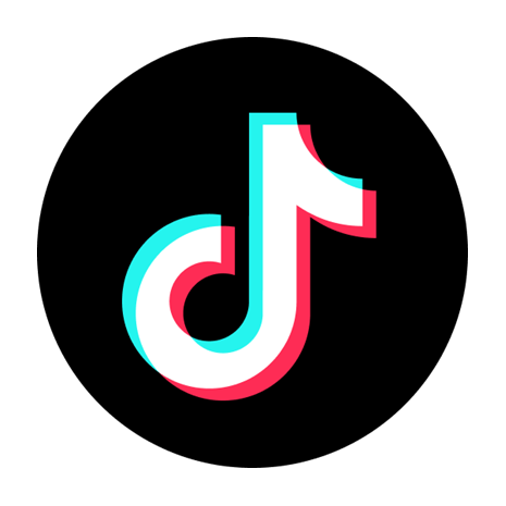 TikTok Logo